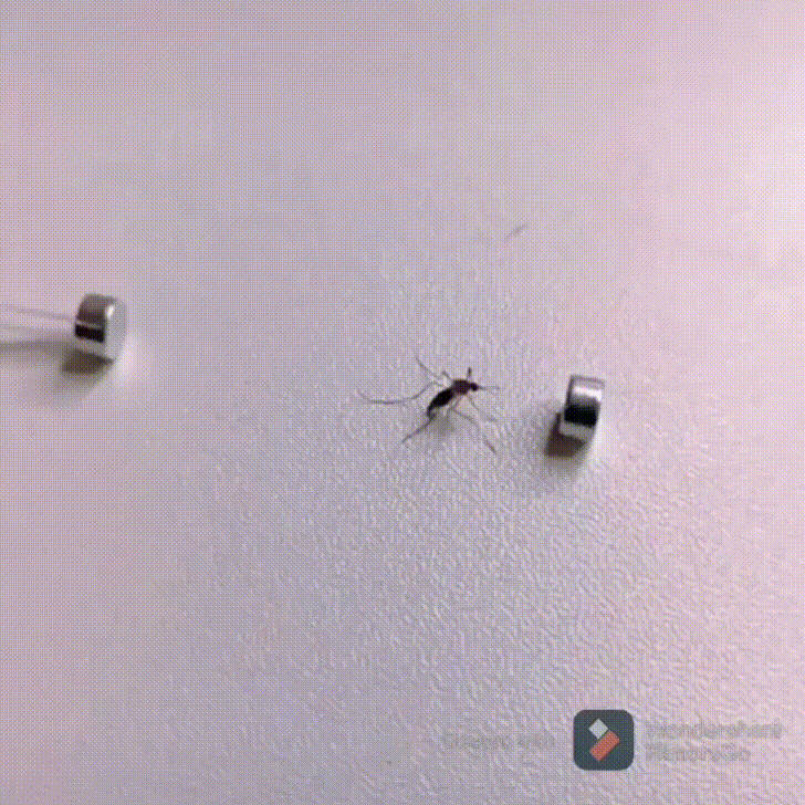 b333993ce2ef9c1fd9e899c9972030e6_1628308138_0477.gif
