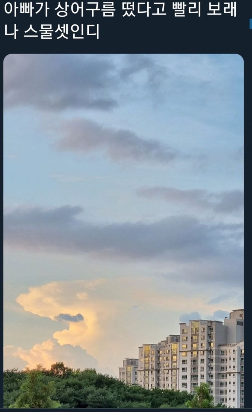 7b4910bd9655e46500bfef451c09ac4d_1633076812_6056.jpg
